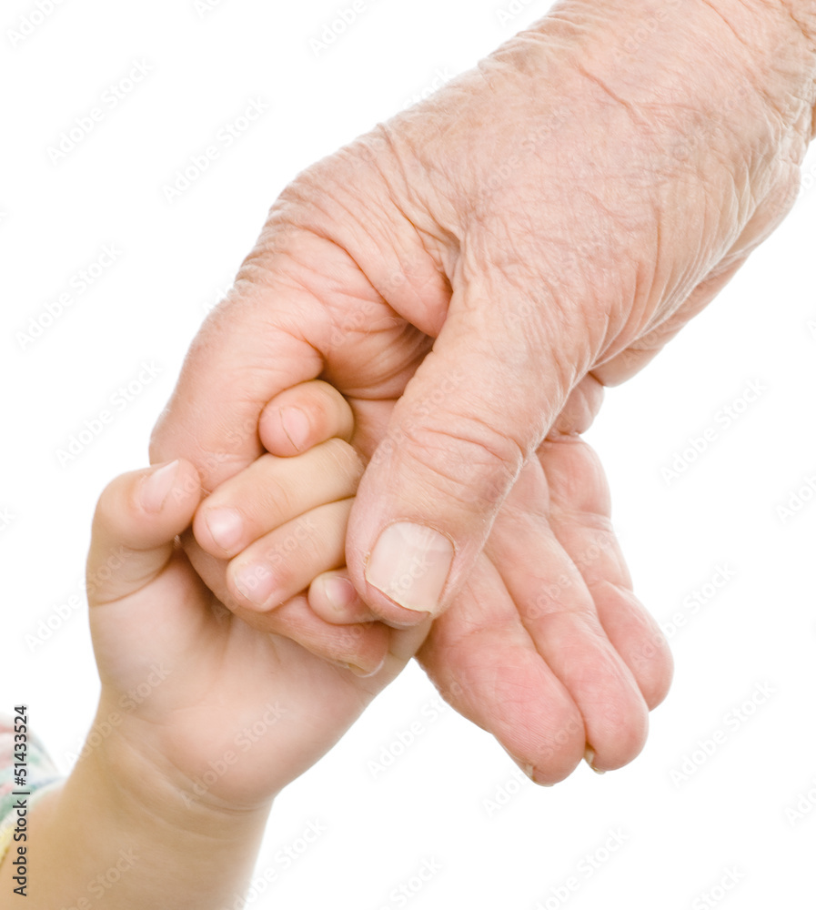 hands of a grandfather and child. isolated on white hands of a grandfather and child. isolated on white