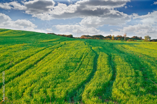 dramatic sky and green meadow