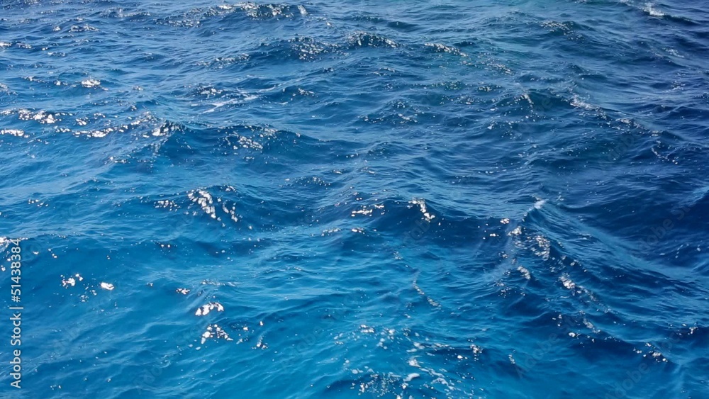 Playing in the waves of the Red Sea Playing in the waves of the Red Sea