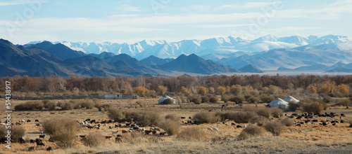 traditional dwelling of Mongolian nomadic photo
