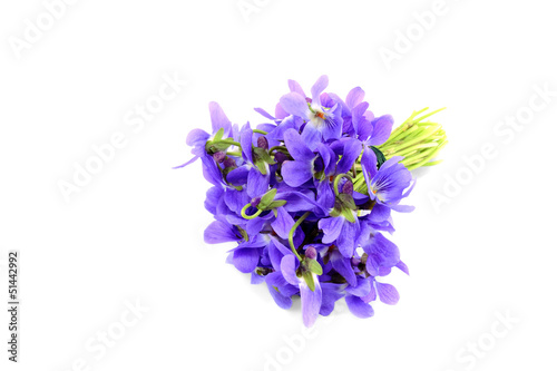 Violet bouquet isolated on white