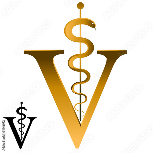 Veterinarian Icon