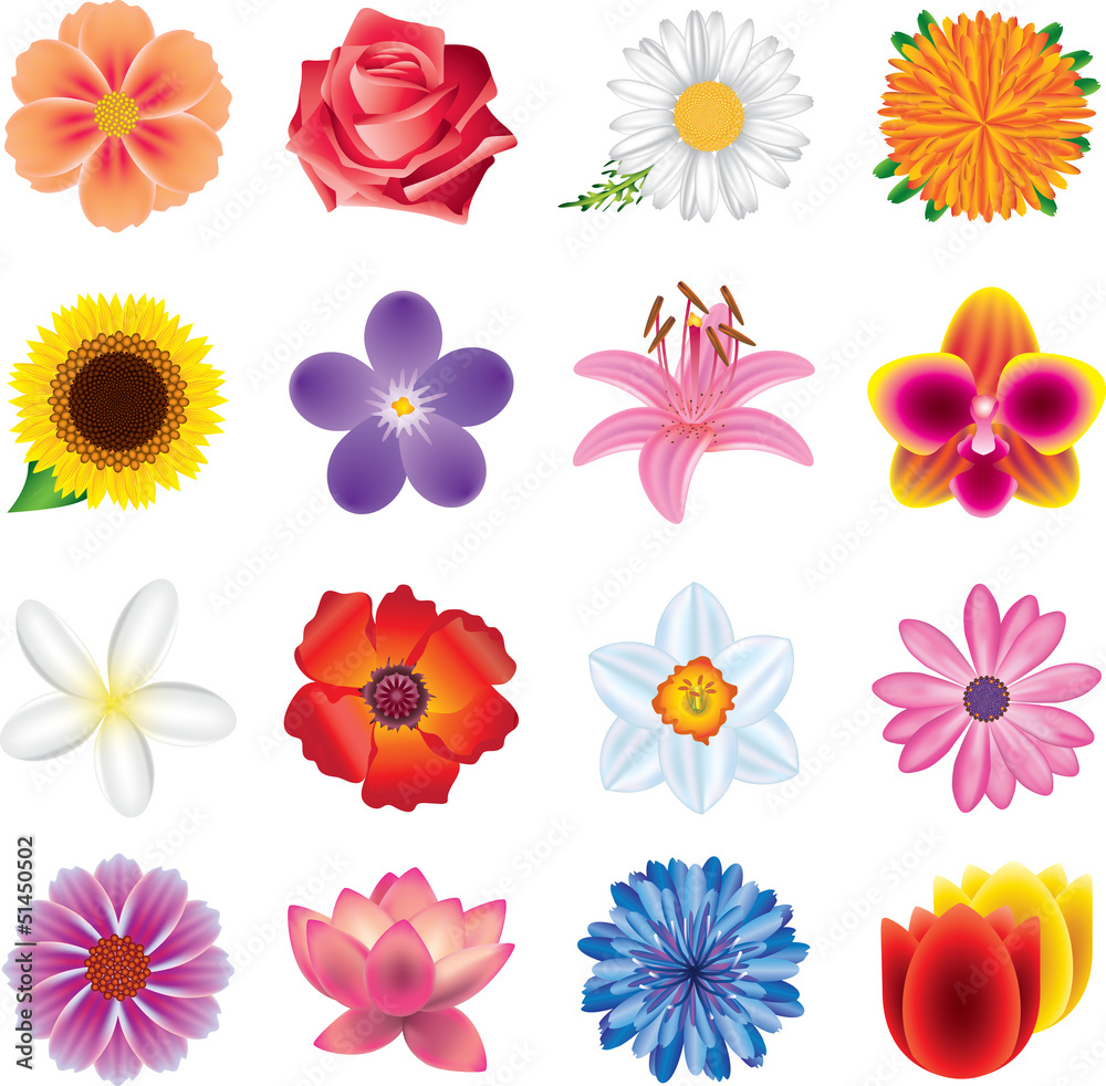 colorful flowers photo-realistic vector set