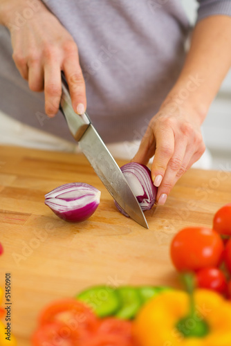 Closeup on woman cutting onion