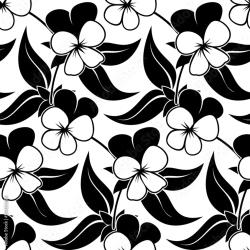 pansy floral black isolated seamless background