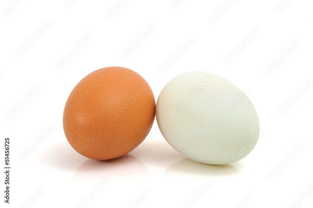 Eggs Eggs