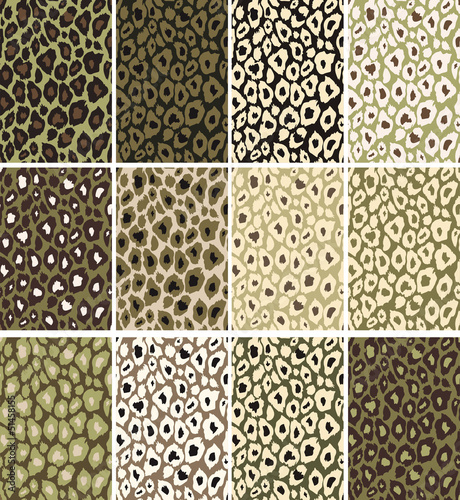 Leopard texture