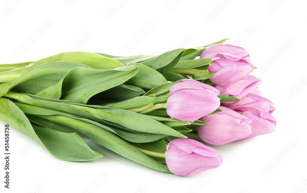 Beautiful bouquet of purple tulips, isolated on white