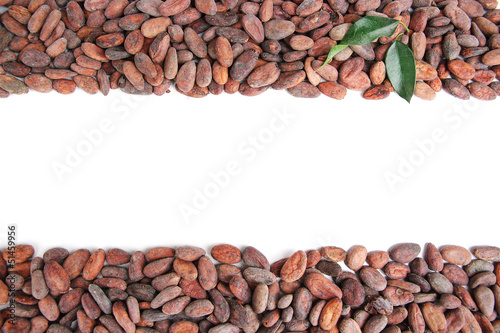 Cocoa beans with leaves isolated on white