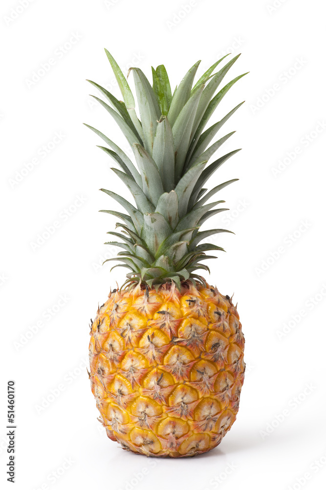 pineapple isolated on white pineapple isolated on white