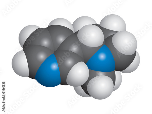 Nicotine molecule space fill model - C10H14N2