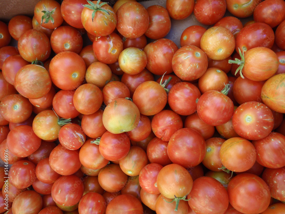 Tomatoes of Red wtih spots of orange, and green color Tomatoes of Red wtih spots of orange, and green color