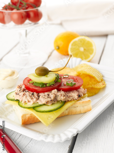 Tuna Fish Salad Sandwich