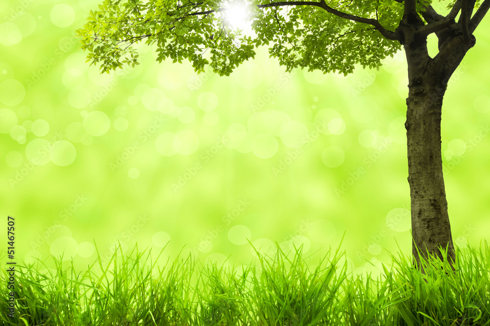 natural green background natural green background