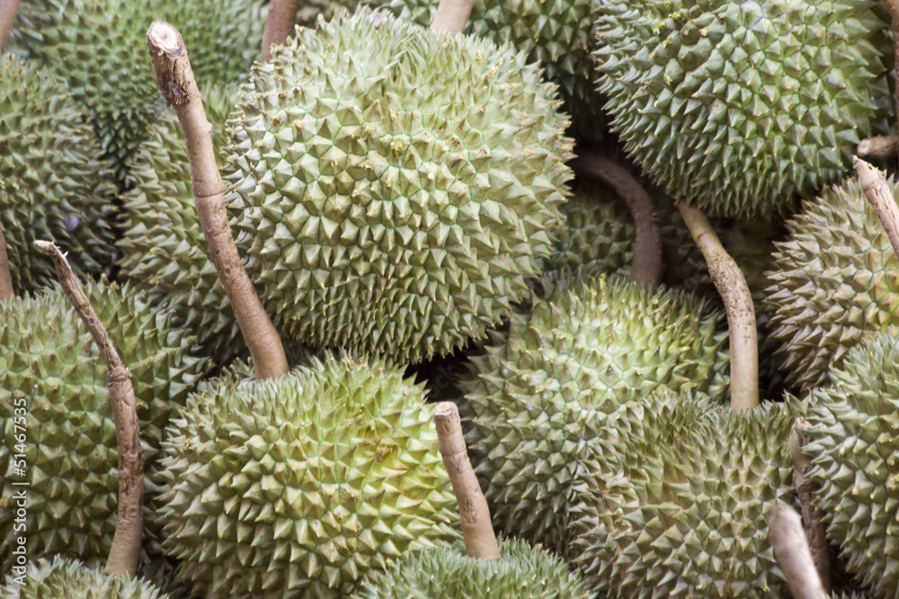 Durian Durian