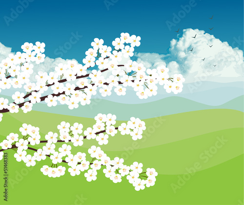 Cherry blossom flowers with landscape background