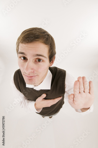 Принти на полотні oath hand on heart impish wide angle