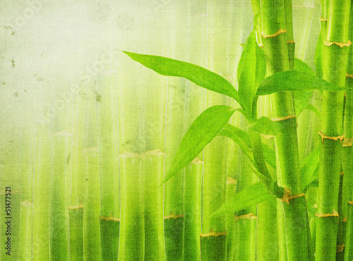 Fototapeta Naklejka Na Ścianę i Meble -  grunge bamboo background