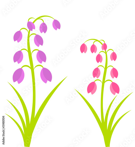 Spring flowers