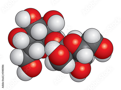 Sucrose (sugar) molecule space fill model - C12H22O11
