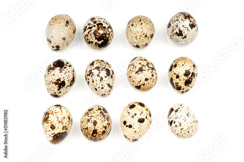 Quail eggs on white background
