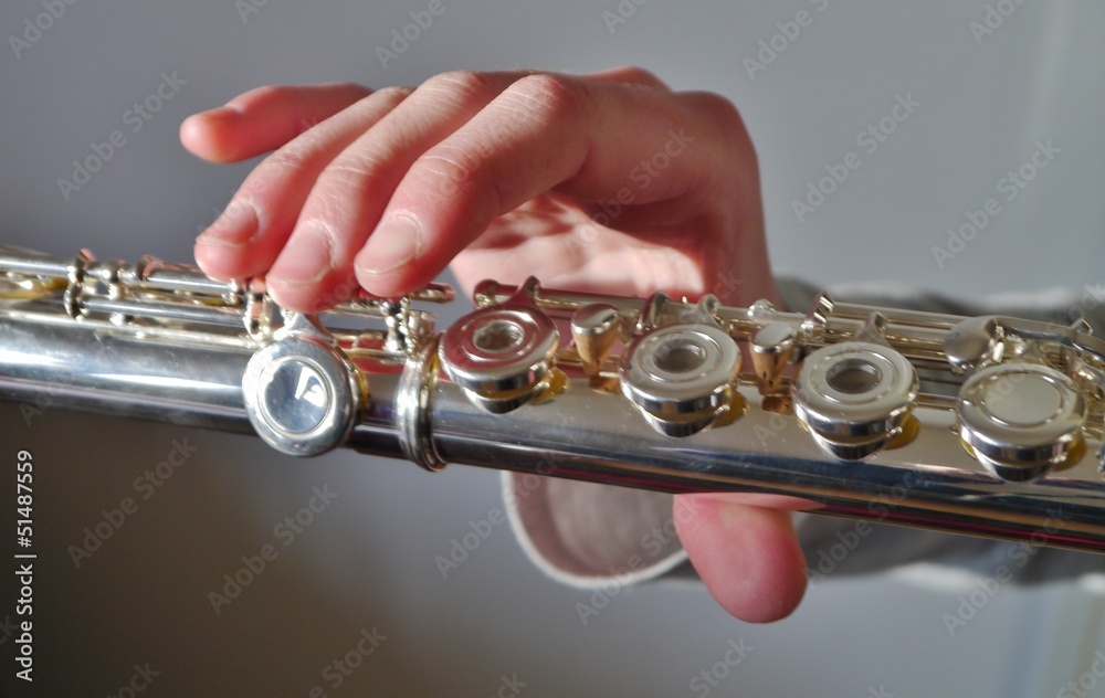 Obraz premium Finger auf der Querflöte