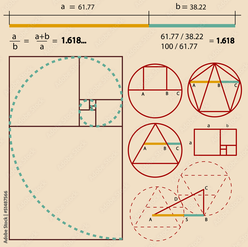 Golden Ratio, Golden Proportion Stock Vector Adobe Stock
