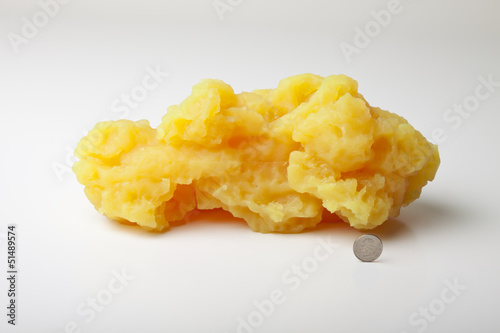 Five pounds of fat shown with quarter coin for size comparison. photo
