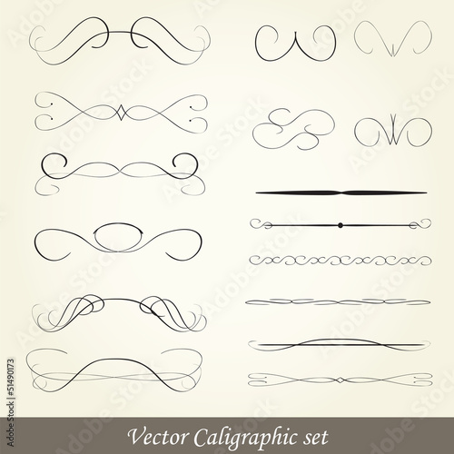 vector set: calligraphic design elements