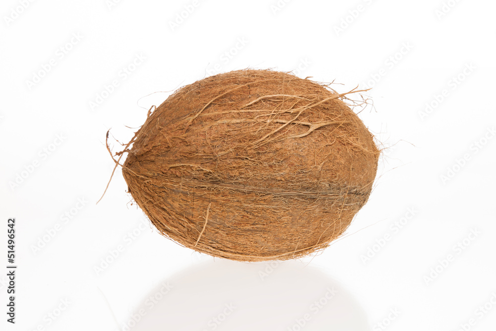 Coconut with it's shade Coconut with it's shade