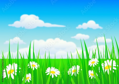 nature background with grass and flowers