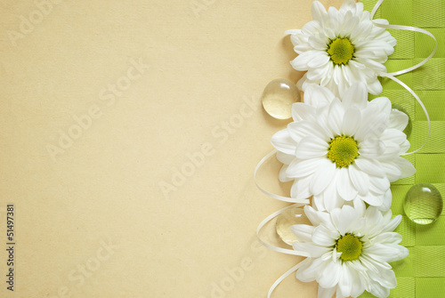 Chamomiles on beige paper b...