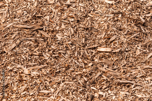 Фотография Closeup of a heap of woodchips from shredded trees