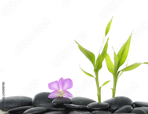 Pebbles with pink orchid and bamboo leaf