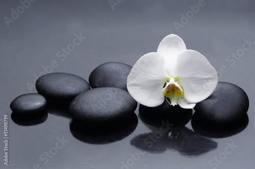 Still life with white orchid with zen stone