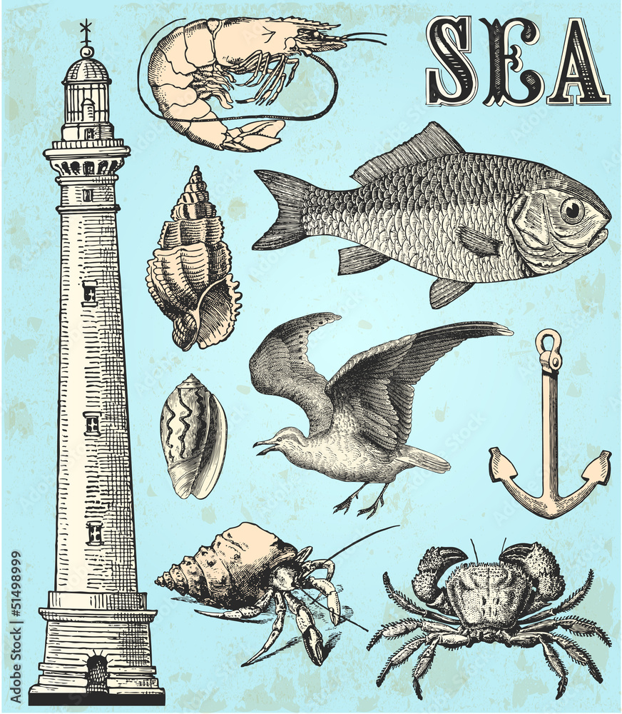 Fototapeta premium Sea