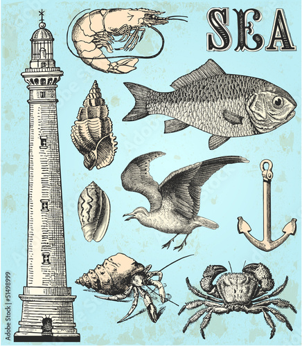 Sea