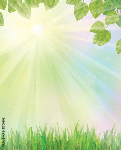 Vector of spring background with grass and leaves.