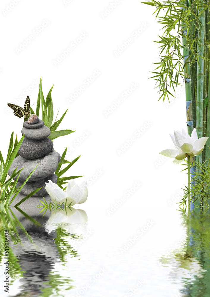 Fototapeta premium composition flore aquatique zen relaxation