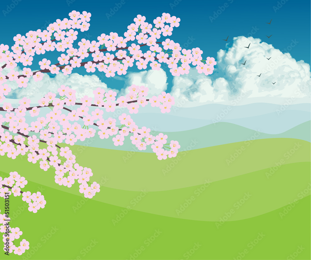 Cherry blossom with landscape bacground vector Cherry blossom with landscape bacground vector