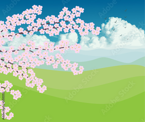 Cherry blossom with landscape bacground vector
