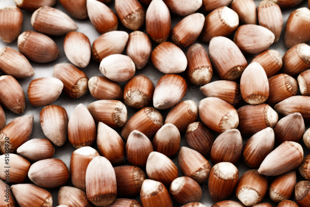 Obraz premium Hazelnut close up