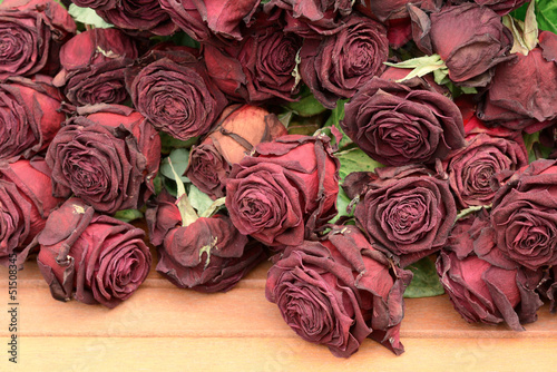 Cuadro en lienzo Vertrocknete Rosen