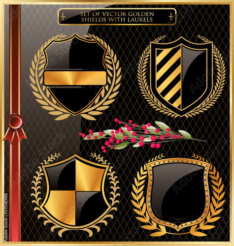Set of vector golden shields with laurels