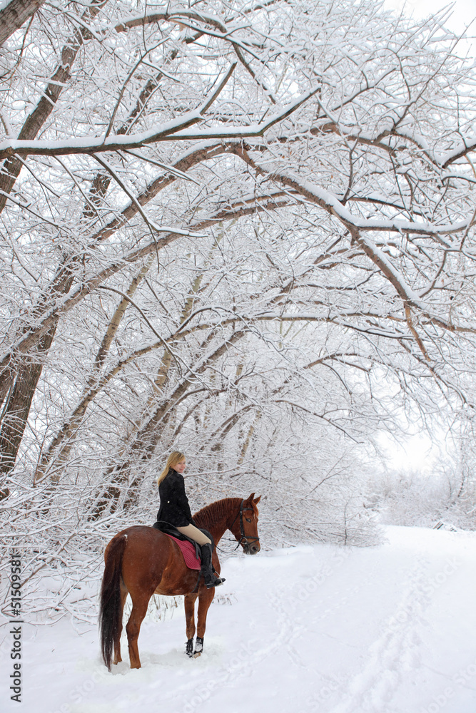 Girl goes horseback in snowfall