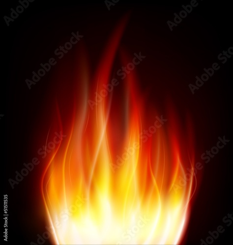 fire bonfire flame vector