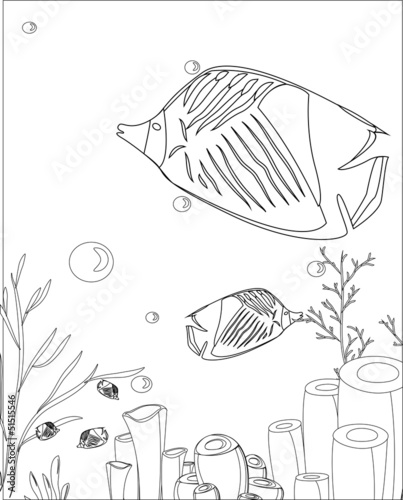 fish with corals. coloring book
