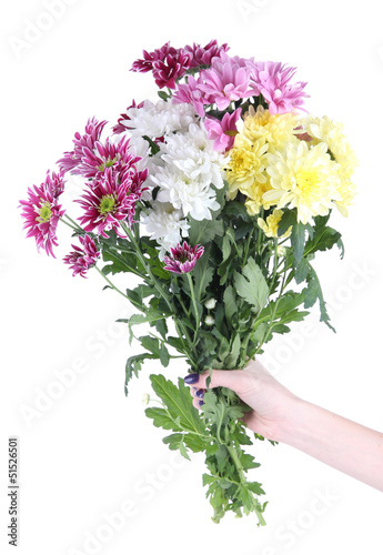 Bouquet of beautiful chrysanthemums in hand isolated on white © Africa Studio