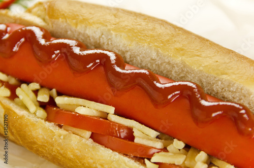 Fotografie Hot Dog With Ketchup