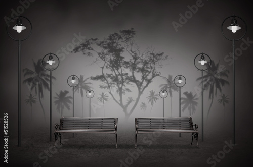 night park with light and two bench